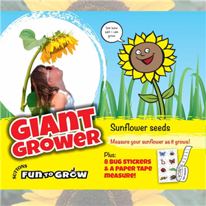 Sunflower - Giant grower (Giant Single)